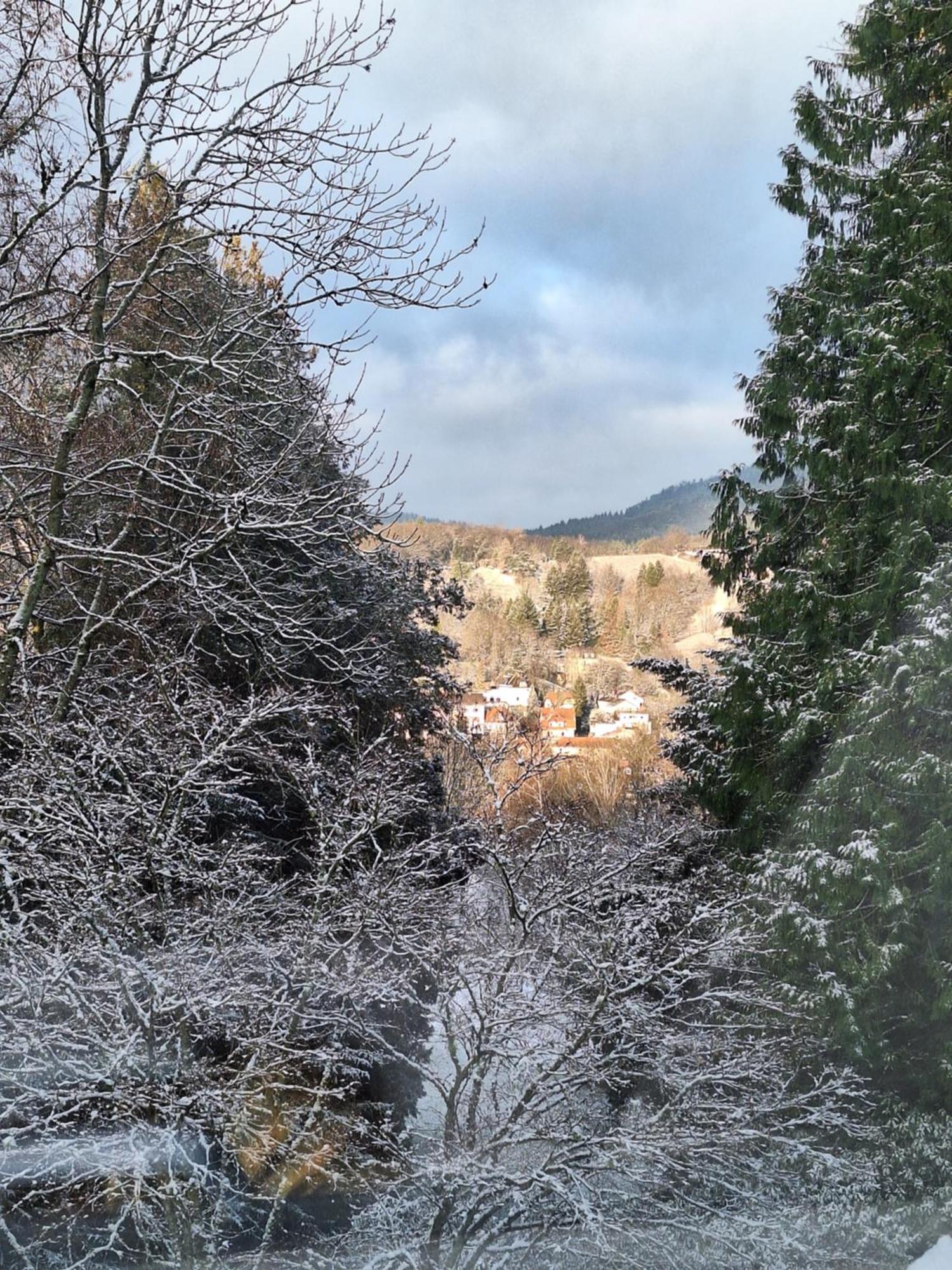 Hotel Grünes Gold Am Leisberg Baden-Baden
