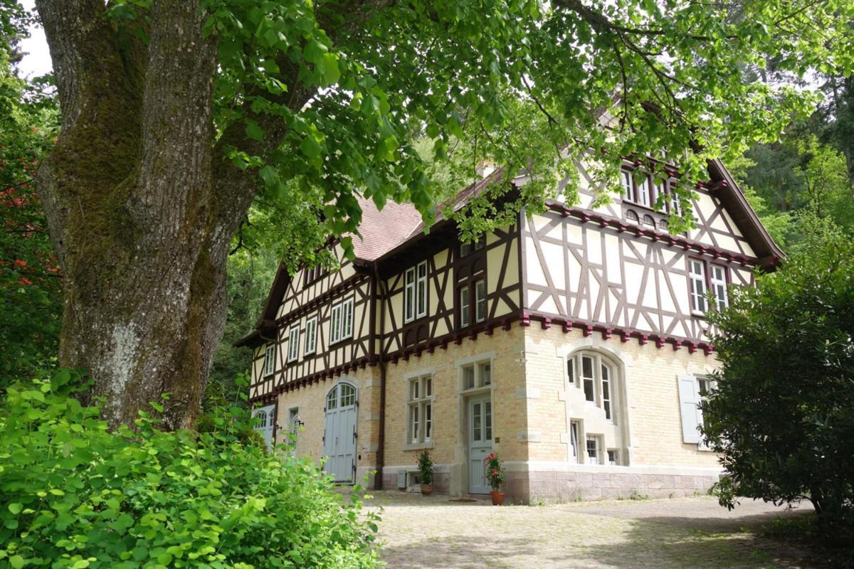 Grünes Gold Am Leisberg