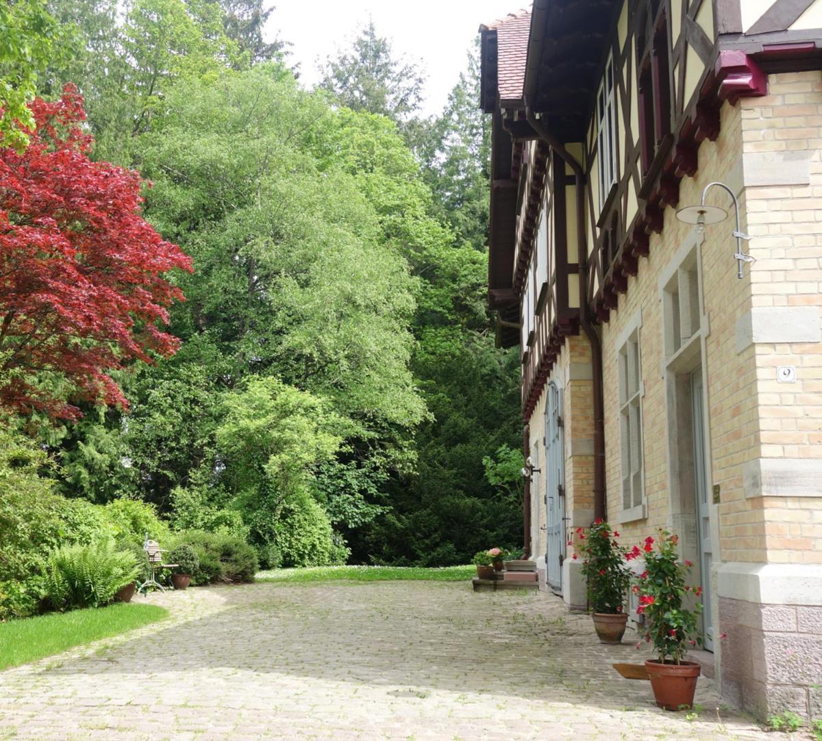 Grünes Gold Am Leisberg *